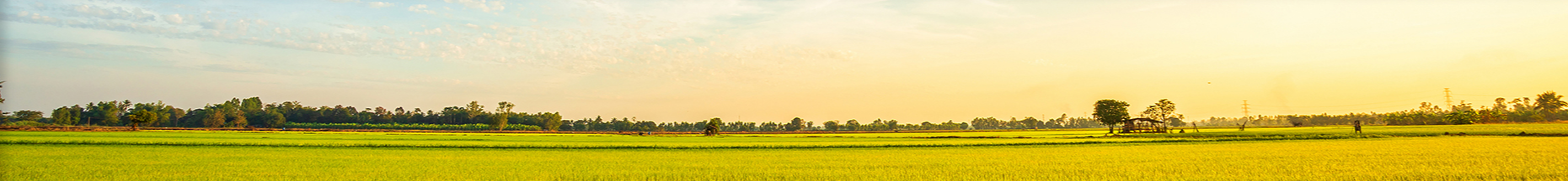 国际交流广告位