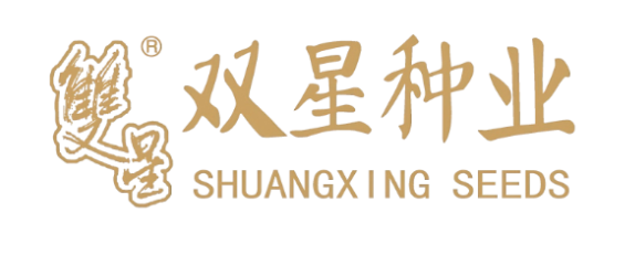 AGTECH种业专区展商推介 | 河北双星种业——育良种 兴农业 以科技之力赋能国际种业