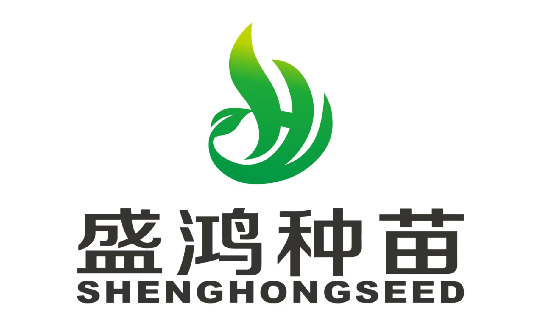 大连盛鸿种苗有限公司