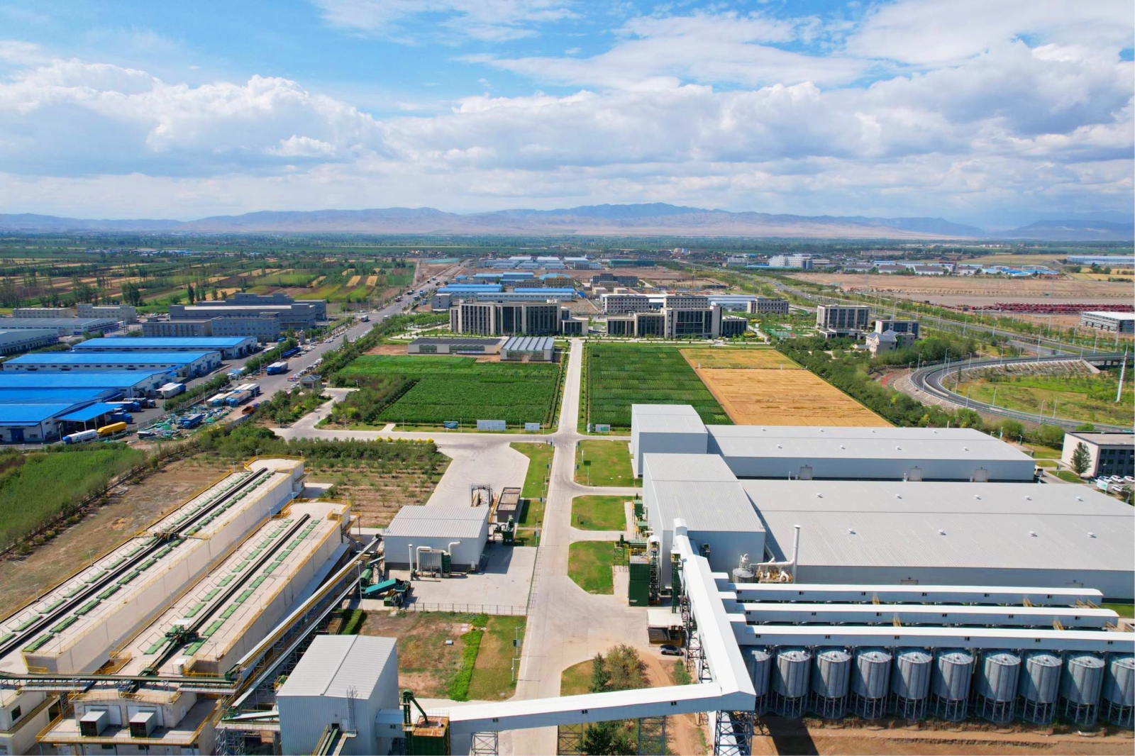 产业园鸟瞰图 (1).jpg