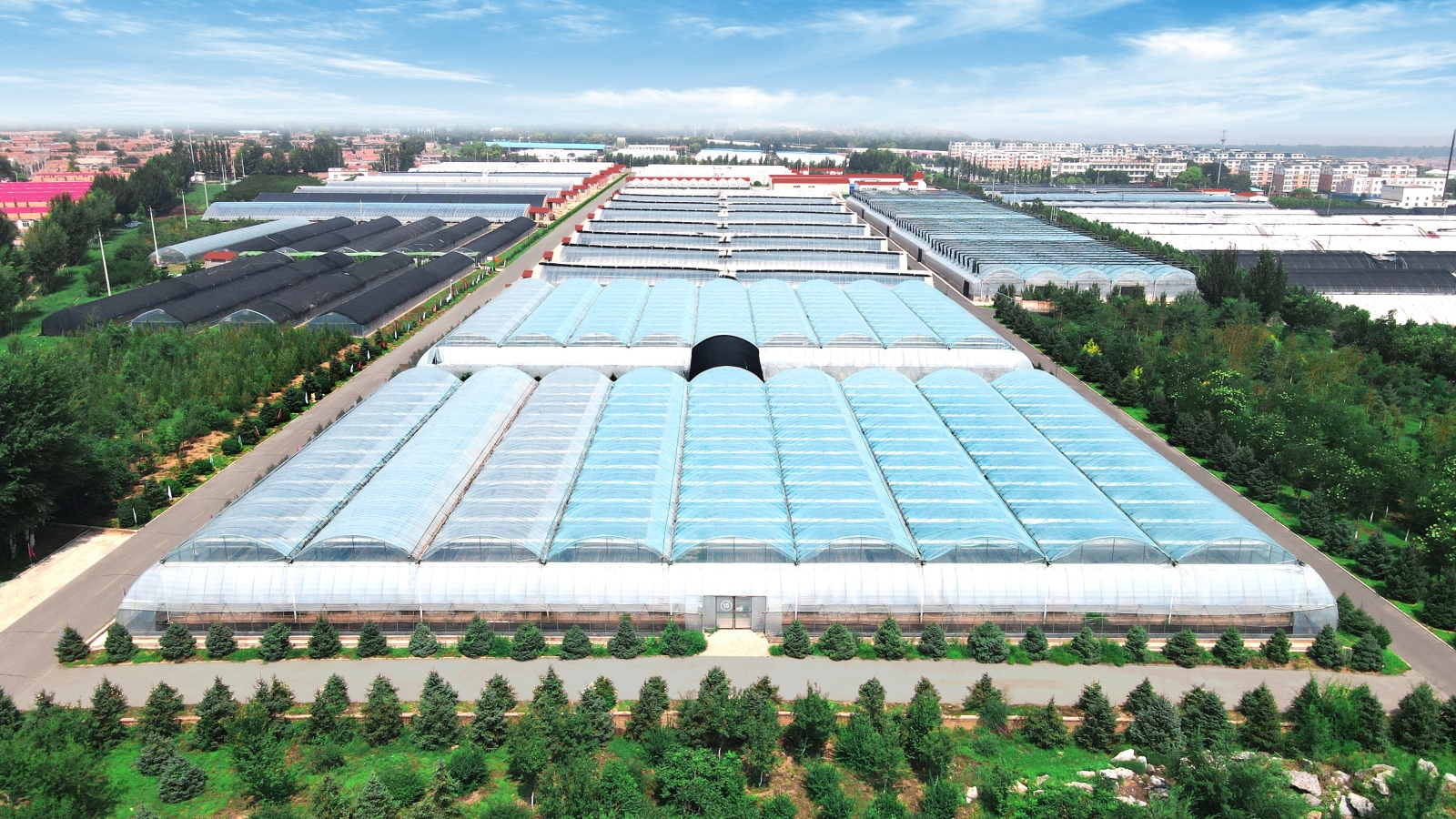 多功能栽培展示区 (4).JPG