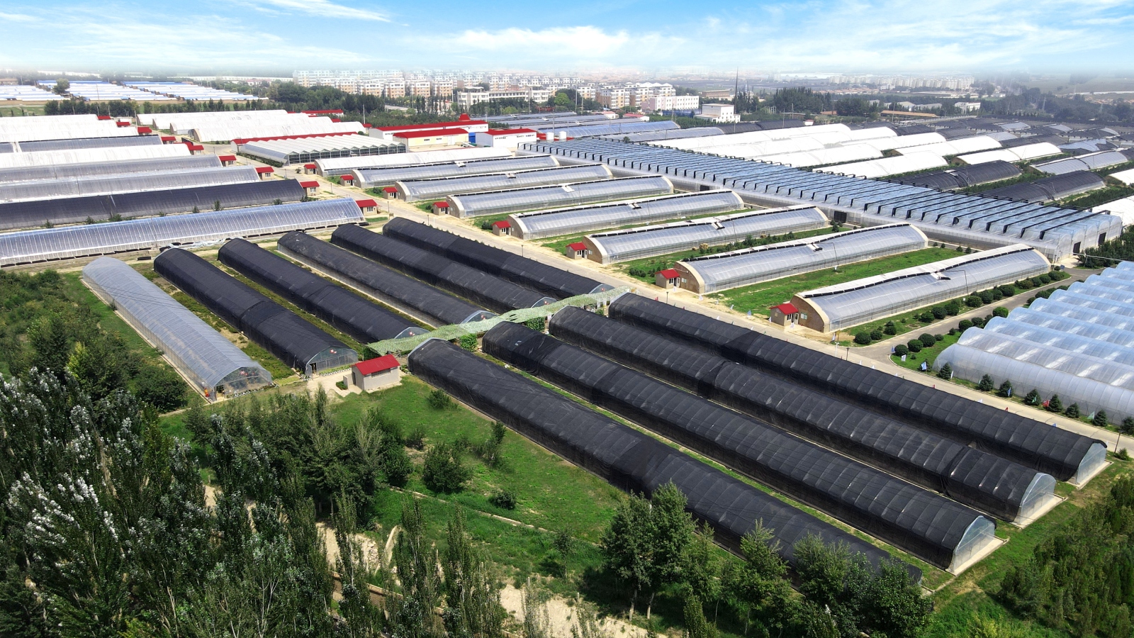 高新技术实验区 (4).JPG